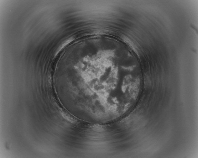 X0000091350827200708241244