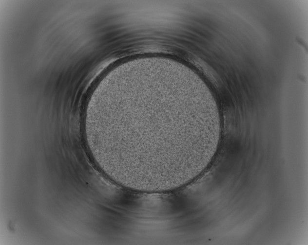 X0000091350828200708241245