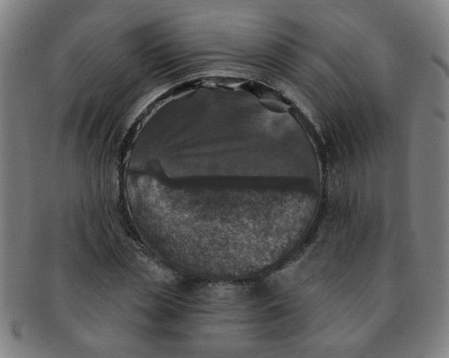 X0000091350829200708241245