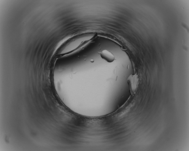 X0000091350830200708241245