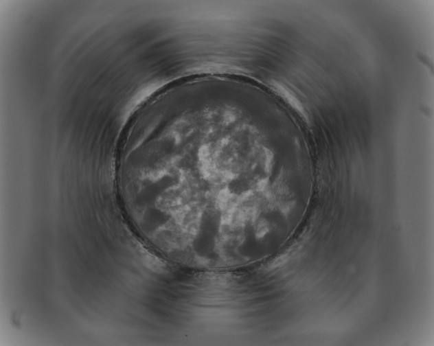 X0000091350831200708241245