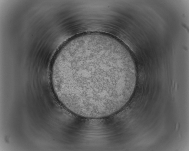 X0000091350832200708241245
