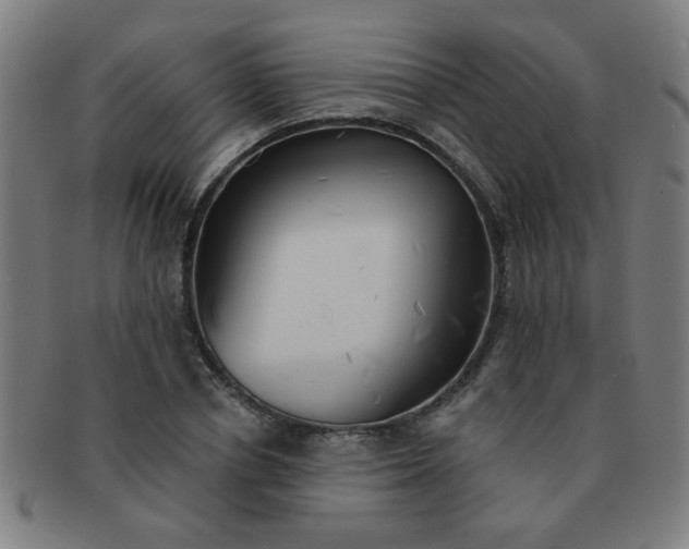 X0000091350834200708241245