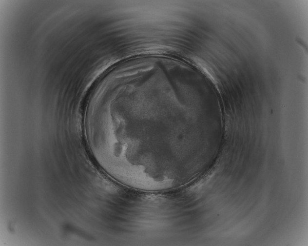 X0000091350835200708241245