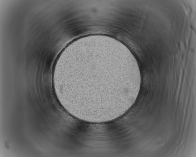 X0000091350836200708241245
