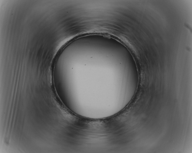 X0000091350838200708241245