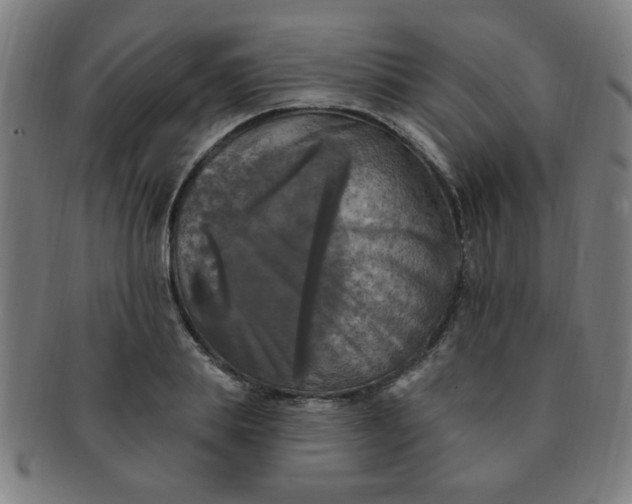 X0000091350839200708241245