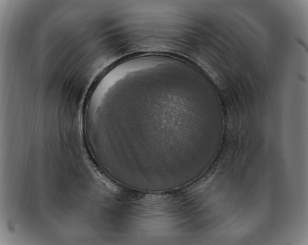 X0000091350840200708241245