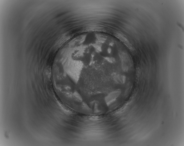 X0000091350841200708241245