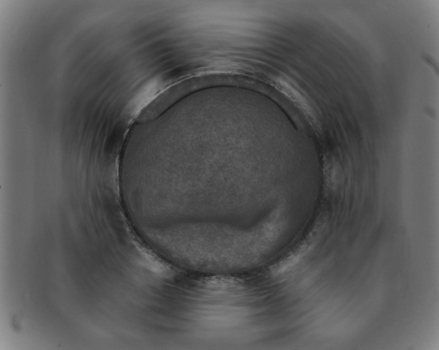 X0000091350842200708241245
