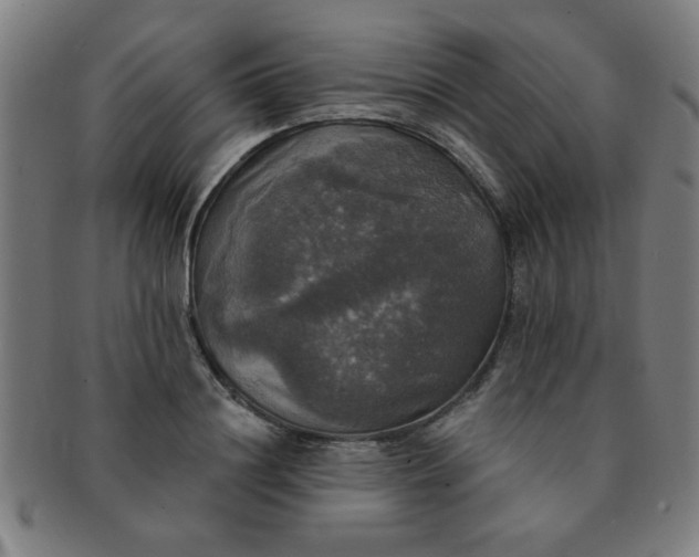 X0000091350844200708241245
