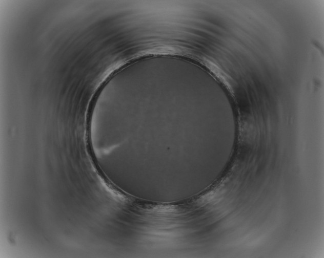X0000091350845200708241245