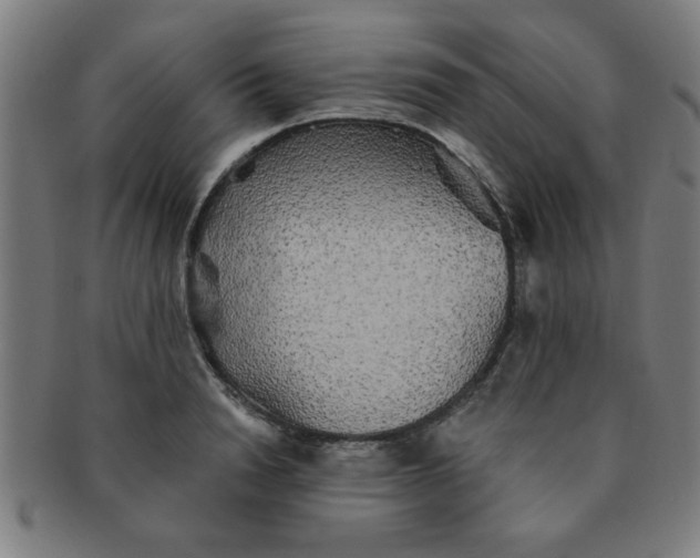 X0000091350846200708241245