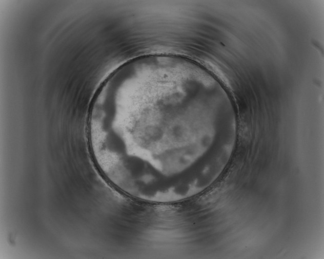 X0000091350847200708241245