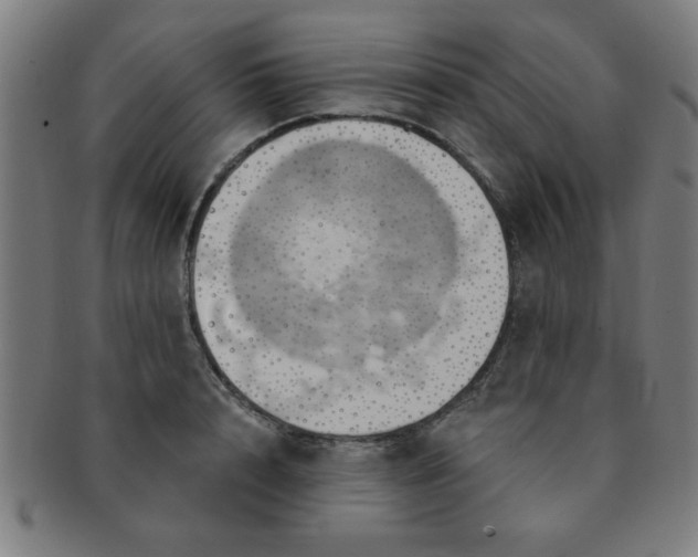 X0000091350848200708241245