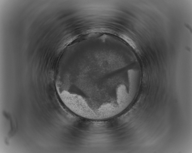 X0000091350849200708241245