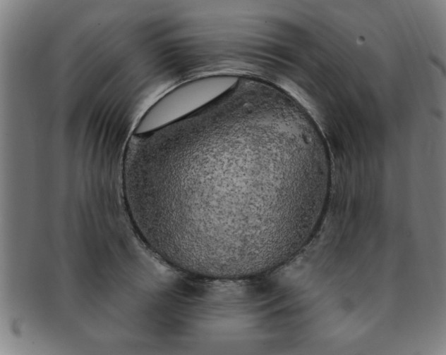 X0000091350850200708241245