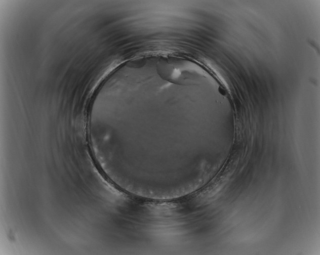 X0000091350851200708241245