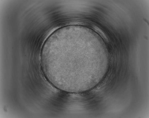 X0000091350852200708241245