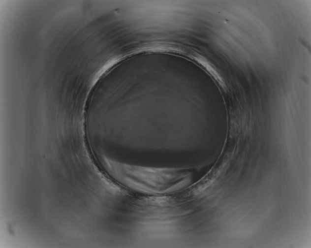 X0000091350853200708241245