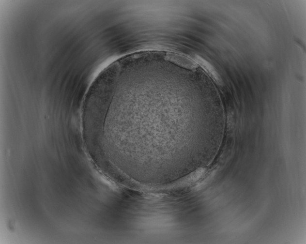 X0000091350854200708241245