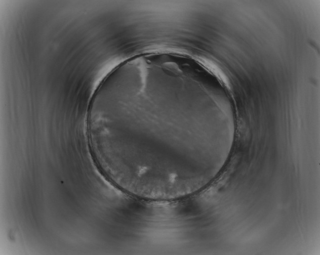 X0000091350855200708241245