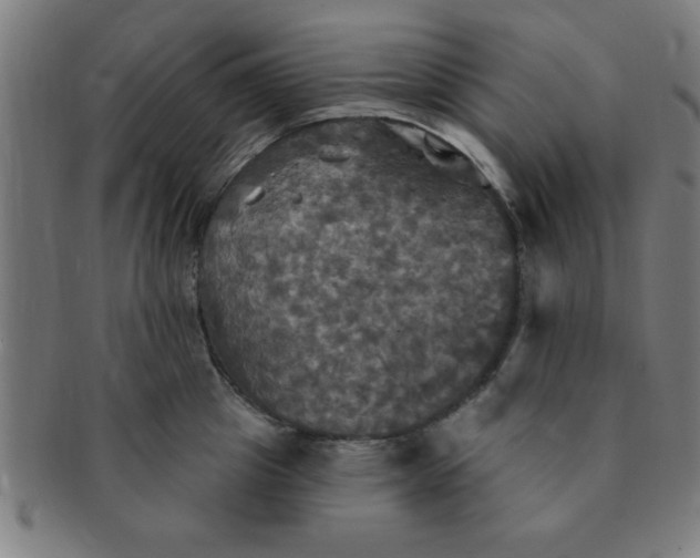 X0000091350857200708241245