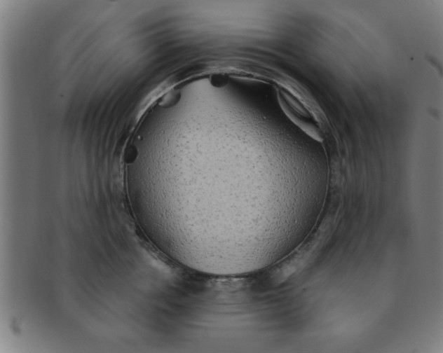 X0000091350858200708241245