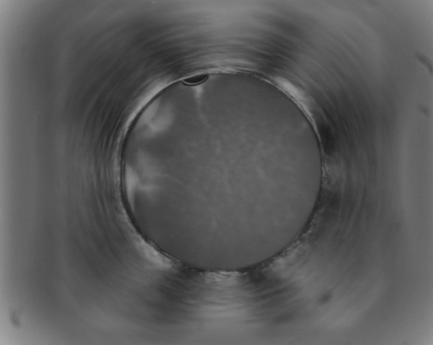 X0000091350859200708241245
