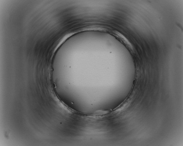 X0000091350860200708241245