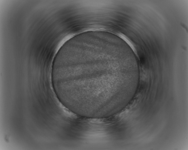 X0000091350861200708241245