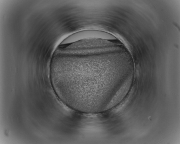X0000091350862200708241245