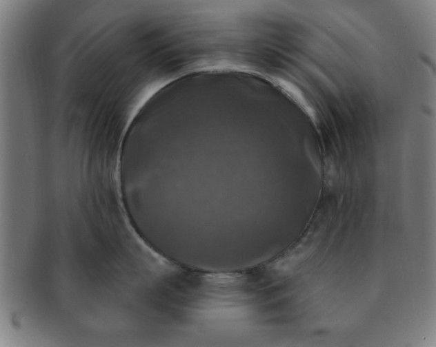 X0000091350863200708241245