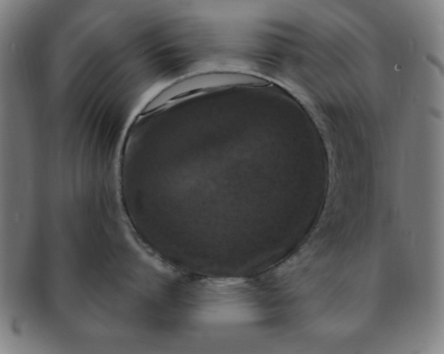 X0000091350864200708241245