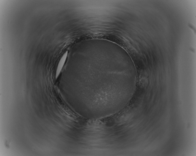 X0000091350866200708241244