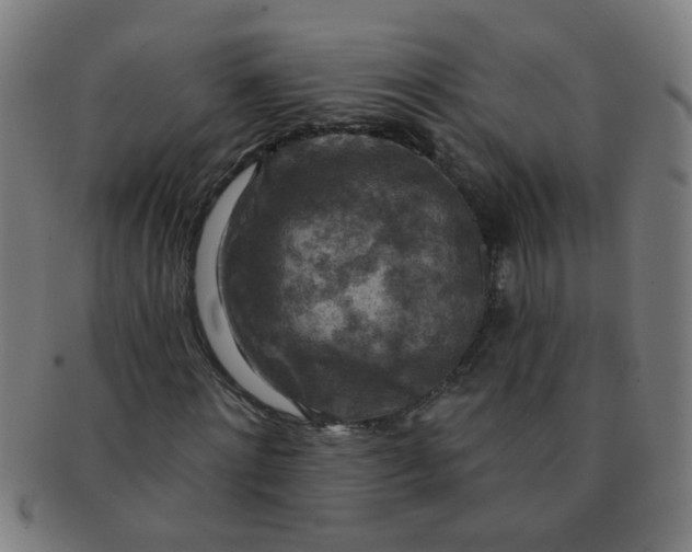 X0000091350868200708241244