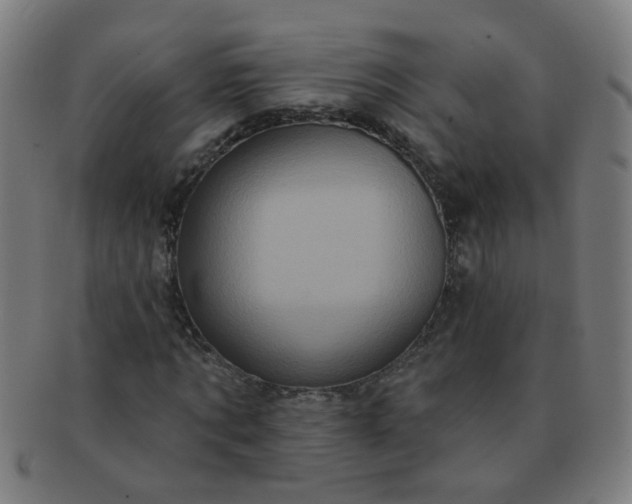 X0000091350869200708241244