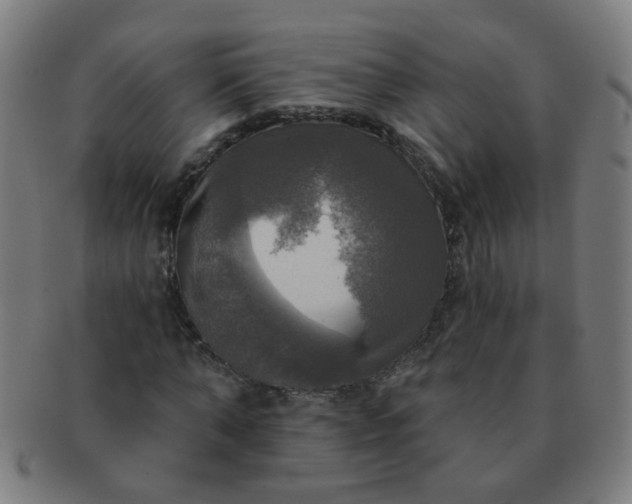 X0000091350870200708241244