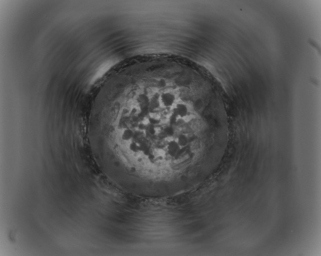 X0000091350871200708241244