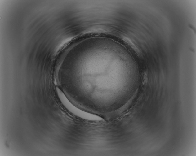 X0000091350872200708241244