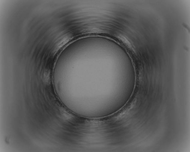 X0000091350873200708241244
