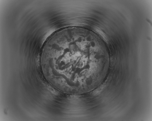 X0000091350875200708241244