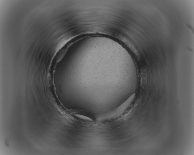 X0000091350876200708241244