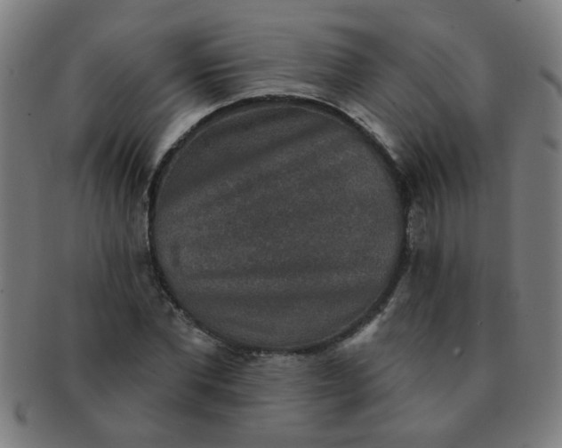 X0000091350877200708241244