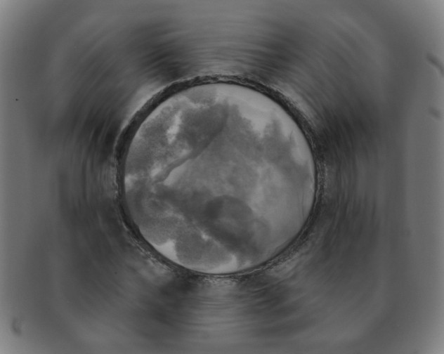 X0000091350878200708241244