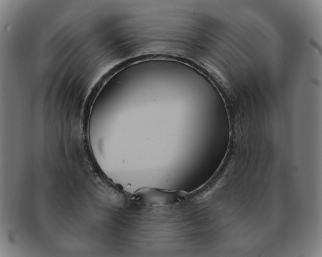 X0000091350880200708241244