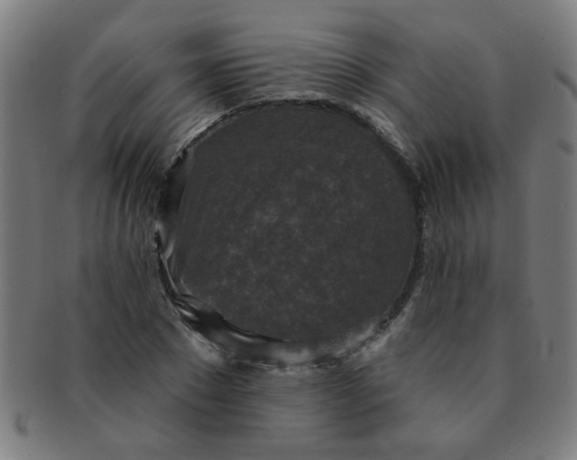 X0000091350881200708241244