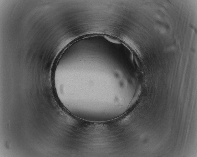 X0000091350884200708241244