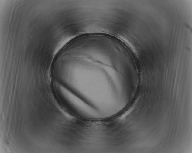 X0000091350885200708241244