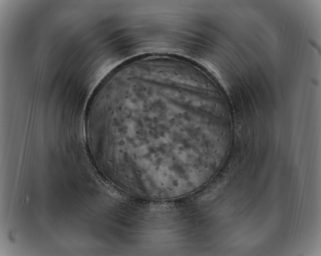 X0000091350887200708241244